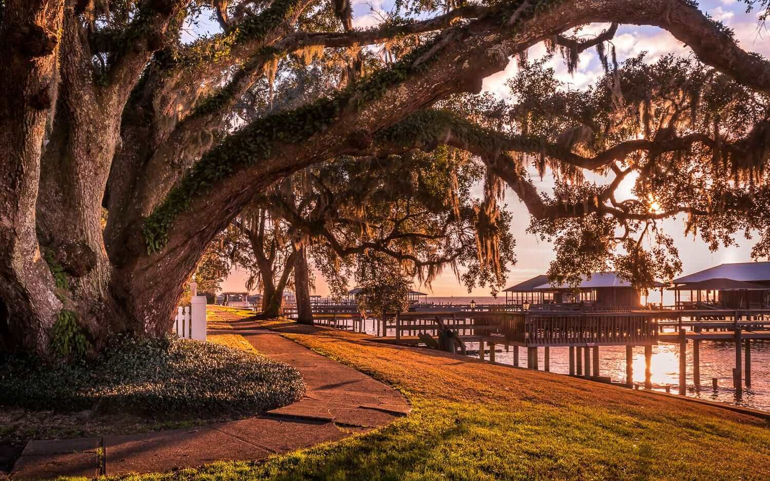 Sunset by a tree-lined waterfront with a wooden pier. Sunset by a tree-lined waterfront with a wooden pier.